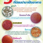 5 อาหารปลากัดที่นิยมนำมาเป็นอาหาร