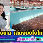 กุ้งขาว-เลี้ยงให้รวย-ปรึกษาฟรี-สิบแสนฟาร์ม-เสาหลักวงการแฮชเชอรี่2