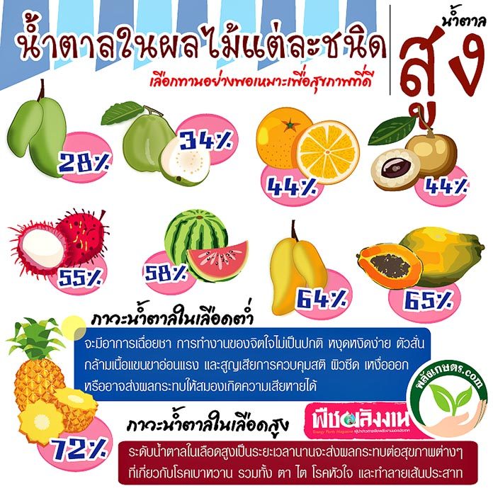 นมโปรตีน