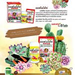 Advertisement บริษัท โซตัส อินเตอร์เนชั่นแนล จำกัด