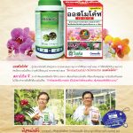 Advertisement-บริษัท-โซตัส-อินเตอร์เนชั่นแนล-จำกัด1