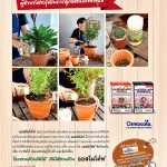 Ad-โซตัส