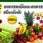 2.อาหารเสริมพืชอินทรีย์ชนิดเข้มข้น-100%