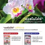 Advertisement-Banner-by-บริษัท-โซตัส-อินเตอร์เนชั่นแนล-จำกัด-www.sotus.co.th