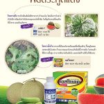 Advertisement-Banner-by-บริษัท-โซตัส-อินเตอร์เนชั่นแนล-จำกัด-www.sotus.co.th