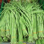 5.บำรุงร่างกายให้แข็งแรง-และป้องกันโรคต่างๆ-https.pixabay.comphotosyardlong-beans-string-beans-1098530