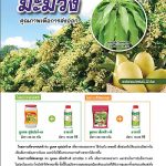 Advertisement Banner by บริษัท โซตัส อินเตอร์เนชั่นแนล จำกัด www.sotus.co.th