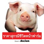 ราคาสุกรมีชีวิตหน้าฟาร์ม