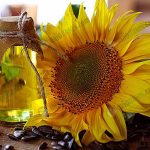 การปลูกดอกทานตะวัน-https.upload.wikimedia.orgwikipediacommons008Sunflower_oil_and_sunflower