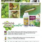 Advertisement Banner by บริษัท โซตัส อินเตอร์เนชั่นแนล จำกัด www.sotus.co.th