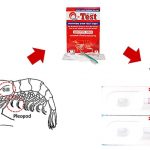 ตัวอย่างผลการทดสอบจาก Test Kit