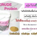 CRUDE Protein ช่วยในการลดไซซ์กุ้ง เพิ่มน้ำหนัก