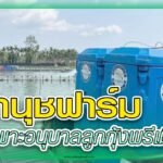 สัตว์น้ำ 404 – ธนานุช copy