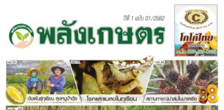 นิตยสารพลังเกษตร ฉบับ 1