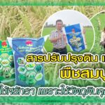 ปก สารปรับปรุงดิน พืชสมบูรณ์