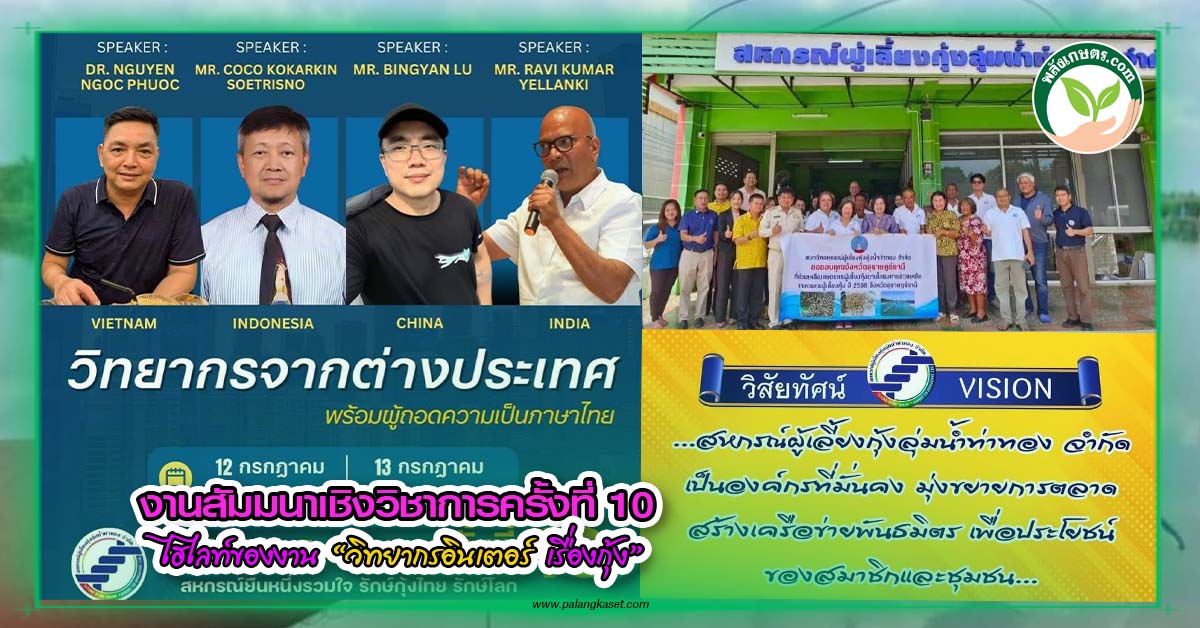 ปกข่าวท่าทอง copy