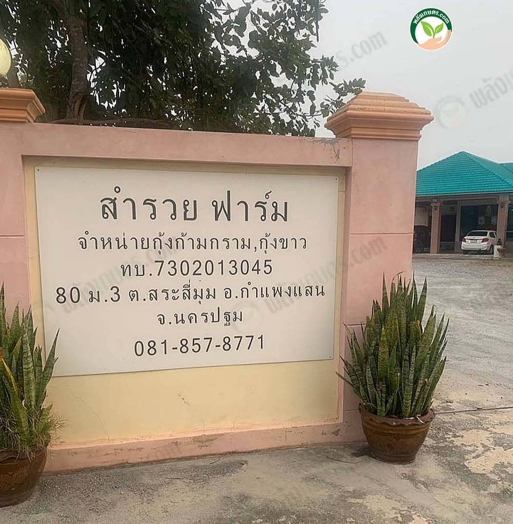 สำนักงานสำรวยฟาร์ม