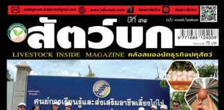 ปก นิตยสาร สัตว์บก ฉบับ 375 (กรกฏาคม 2567)