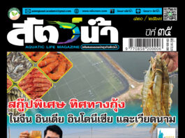 นิตยสาร สัตว์น้ำ ฉบับ 420 (สิงหาคม 2567)