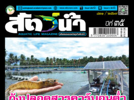 ปก นิตยสาร สัตว์น้ำ ฉบับ 421 (กันยายน 2567)