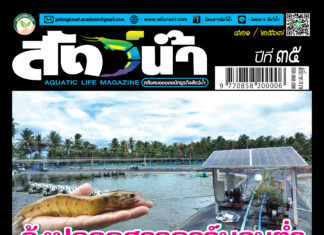 ปก นิตยสาร สัตว์น้ำ ฉบับ 421 (กันยายน 2567)