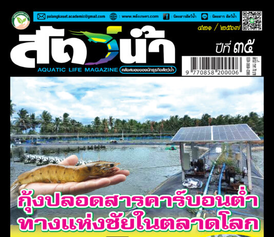 ปก นิตยสาร สัตว์น้ำ ฉบับ 421 (กันยายน 2567)