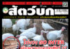 ปก นิตยสาร สัตว์บก ฉบับ 376 (สิงหาคม 2567)