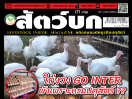 ปก นิตยสาร สัตว์บก ฉบับ 376 (สิงหาคม 2567)