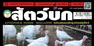 ปก นิตยสาร สัตว์บก ฉบับ 376 (สิงหาคม 2567)