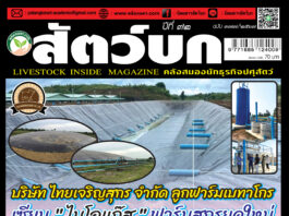 ปก นิตยสาร สัตว์บก ฉบับ 377 (กันยายน 2567)