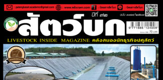 ปก นิตยสาร สัตว์บก ฉบับ 377 (กันยายน 2567)