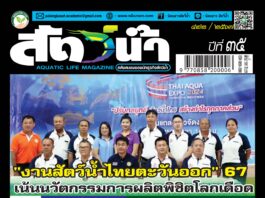 ปก นิตยสาร สัตว์น้ำ ฉบับ 422 (ตุลาคม 2567)