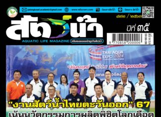 ปก นิตยสาร สัตว์น้ำ ฉบับ 422 (ตุลาคม 2567)