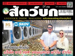 ปก นิตยสาร สัตว์บก ฉบับ 378 (ตุลาคม 2567)