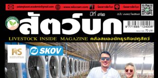 ปก นิตยสาร สัตว์บก ฉบับ 378 (ตุลาคม 2567)