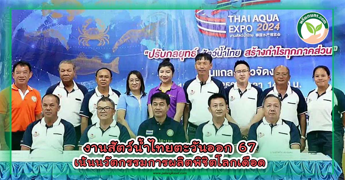 ปกข่าวงานสัตว์น้ำไทยปี67 copy