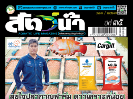 ปก นิตยสาร สัตว์น้ำ ฉบับ 423 (พฤศจิกายน 2567)