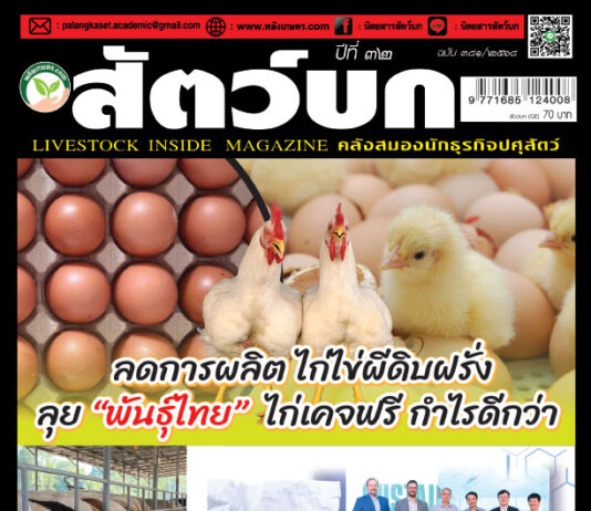 ปก นิตยสาร สัตว์บก ฉบับ 381 (มกราคม 2568)